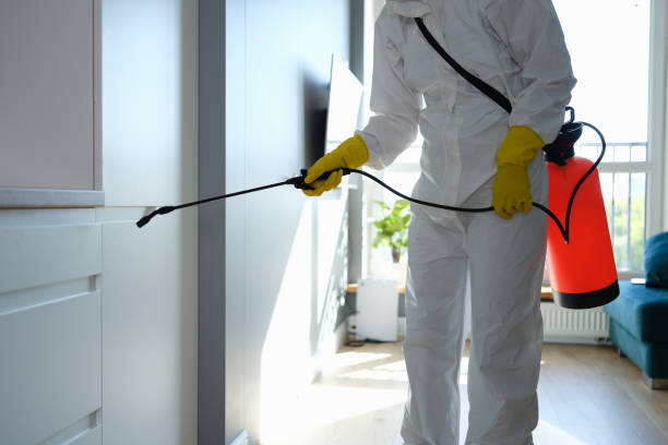 Best Post-Remediation Services in Camas, WA
